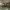 https://res.cloudinary.com/billionhands/image/upload/v1781094995/items/tcfgzcttbgj0qzgjbixr.jpg-2cover