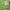 https://res.cloudinary.com/billionhands/image/upload/v1781095445/items/raersumuhxd9brwbyfle.jpg-3cover