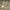 https://res.cloudinary.com/billionhands/image/upload/v1781095882/items/ixhbqva7lhbs7hdswdxu.webp-1cover