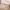https://res.cloudinary.com/billionhands/image/upload/v1781095955/items/gtfod3wa5dflawhbc0pk.webp-2cover