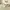 https://res.cloudinary.com/billionhands/image/upload/v1781095956/items/pcjt3rw3z9az0zfsoixd.avif-3cover