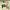 https://res.cloudinary.com/billionhands/image/upload/v1781096239/items/dygm1fopakmamfzulvfs.jpg-0cover