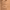https://res.cloudinary.com/billionhands/image/upload/v1781097912/items/tkio6afrqkvrzydw370l.jpg-3cover