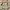 https://res.cloudinary.com/billionhands/image/upload/v1781098014/items/vh2a0o6uhywqpanjqftt.jpg-3cover