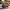 https://res.cloudinary.com/billionhands/image/upload/v1781098016/items/vqsgxnjk3i3ylxbry576.jpg-1cover