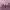 https://res.cloudinary.com/billionhands/image/upload/v1781101221/items/ipmsy6jfj85qy5lxhpux.webp-2cover