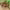 https://res.cloudinary.com/billionhands/image/upload/v1781102430/items/iph8d3on2llte8gmiige.png-3cover