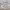 https://res.cloudinary.com/billionhands/image/upload/v1781102647/items/cs7cknlp5cqcry99bbut.webp-2cover