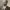https://res.cloudinary.com/billionhands/image/upload/v1781105597/items/fq8aoyy8q8aa49sjrw1t.jpg-1cover