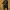 https://res.cloudinary.com/billionhands/image/upload/v1781105992/items/cv4ssv0ywtnw2vlcxefv.jpg-3cover