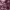 https://res.cloudinary.com/billionhands/image/upload/v1781108321/items/o1dl8dmo0xqnw4bmviuh.jpg-1cover