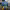 https://res.cloudinary.com/billionhands/image/upload/v1781109847/items/dvt6l6i6p9hpydfyoypn.png-1cover