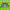 https://res.cloudinary.com/billionhands/image/upload/v1781110324/items/v8ohxmcsntjp883bcgr7.jpg-0cover