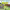 https://res.cloudinary.com/billionhands/image/upload/v1781110333/items/l9il4wu93bvsveurxsvy.jpg-2cover