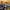 https://res.cloudinary.com/billionhands/image/upload/v1781111121/items/fzps0kn1e3g88hogxcak.webp-3cover