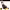 DEWALT 28 in. Self-Propelled Lawn Mower 224cc E-GOV cover