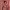 https://res.cloudinary.com/billionhands/image/upload/v1781111643/items/jhojlvkzwmym5psfzxx3.webp-3cover