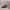 https://res.cloudinary.com/billionhands/image/upload/v1781112410/items/mlxjodwh6etnfzeeqbvv.jpg-3cover