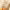 https://res.cloudinary.com/billionhands/image/upload/v1781112437/items/bkubpmd1s7b5zvszvpwi.webp-0cover