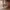 https://res.cloudinary.com/billionhands/image/upload/v1781113658/items/rqmys9unvlp97aowpawt.jpg-0cover