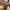 https://res.cloudinary.com/billionhands/image/upload/v1781115690/items/kadq3msrircs7rp1kvsl.jpg-0cover