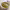 https://res.cloudinary.com/billionhands/image/upload/v1781115695/items/ccvlc5igdeslak4me05a.webp-1cover