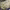 https://res.cloudinary.com/billionhands/image/upload/v1781115714/items/vuvkzflzrn8aecb7wgxg.jpg-3cover