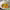 https://res.cloudinary.com/billionhands/image/upload/v1781115728/items/ska94cg6eitrqnrwn9ia.png-3cover