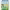 https://res.cloudinary.com/billionhands/image/upload/v1781117612/items/ybu26bwlmnro1ctdrwo4.webp-1cover