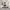 https://res.cloudinary.com/billionhands/image/upload/v1781118338/items/xj1pfediczq1cemwvoyk.webp-2cover