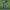 Gol de Brandon Palacios (11 segundos, CONMEBOL Sudamericana 2023) cover