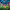 https://res.cloudinary.com/billionhands/image/upload/v1781118393/items/pbkanxpqyudyd54jimzj.jpg-0cover