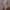 https://res.cloudinary.com/billionhands/image/upload/v1781123907/items/isdvq49fz4xc6azrcnr0.jpg-2cover