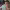 Is This Free? cover