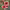 https://res.cloudinary.com/billionhands/image/upload/v1781124493/items/qlrlwqjpqyjcbnejc5ra.webp-2cover