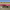 Lakewood Vineyards cover