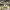 https://res.cloudinary.com/billionhands/image/upload/v1781125287/items/rhyvslzmtux1ukqozvzc.jpg-2cover