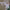 https://res.cloudinary.com/billionhands/image/upload/v1781134378/items/nggr5b1ijg6rsawvtce4.jpg-1cover