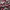 https://res.cloudinary.com/billionhands/image/upload/v1781134809/items/xfkbcb11wtadzjkuzgny.jpg-0cover