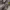 https://res.cloudinary.com/billionhands/image/upload/v1781136532/items/exvvjacolrew8aakgfqe.jpg-3cover