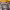 https://res.cloudinary.com/billionhands/image/upload/v1781138506/items/eep4ssz9f2azpo9ichr1.jpg-3cover