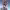 https://res.cloudinary.com/billionhands/image/upload/v1781138638/items/z8volspwkvrchwgzqbln.webp-3cover