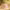 https://res.cloudinary.com/billionhands/image/upload/v1781138991/items/t4e3tctzc3udyx9opkpv.webp-2cover