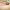 https://res.cloudinary.com/billionhands/image/upload/v1781141395/items/h2dhw2juijzugw9imz9c.jpg-0cover