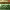 https://res.cloudinary.com/billionhands/image/upload/v1781142925/items/xt3tauywcqvgppv2oy88.jpg-3cover
