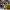 https://res.cloudinary.com/billionhands/image/upload/v1781143205/items/m2bdjyfqxinyd5ak0tgk.jpg-2cover