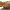 https://res.cloudinary.com/billionhands/image/upload/v1781143450/items/y8gajtxlfg75uum05ngw.jpg-0cover