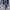 Elegant Party Pant Suit cover