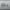 https://res.cloudinary.com/billionhands/image/upload/v1781145337/items/bm3rstxgpcpfsvyxgl5v.webp-3cover