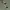 https://res.cloudinary.com/billionhands/image/upload/v1781145805/items/bcu4spwltw8brbazhne8.webp-1cover
